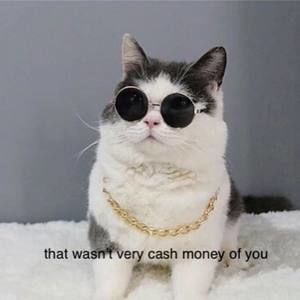 Meet your Posher, Alyce